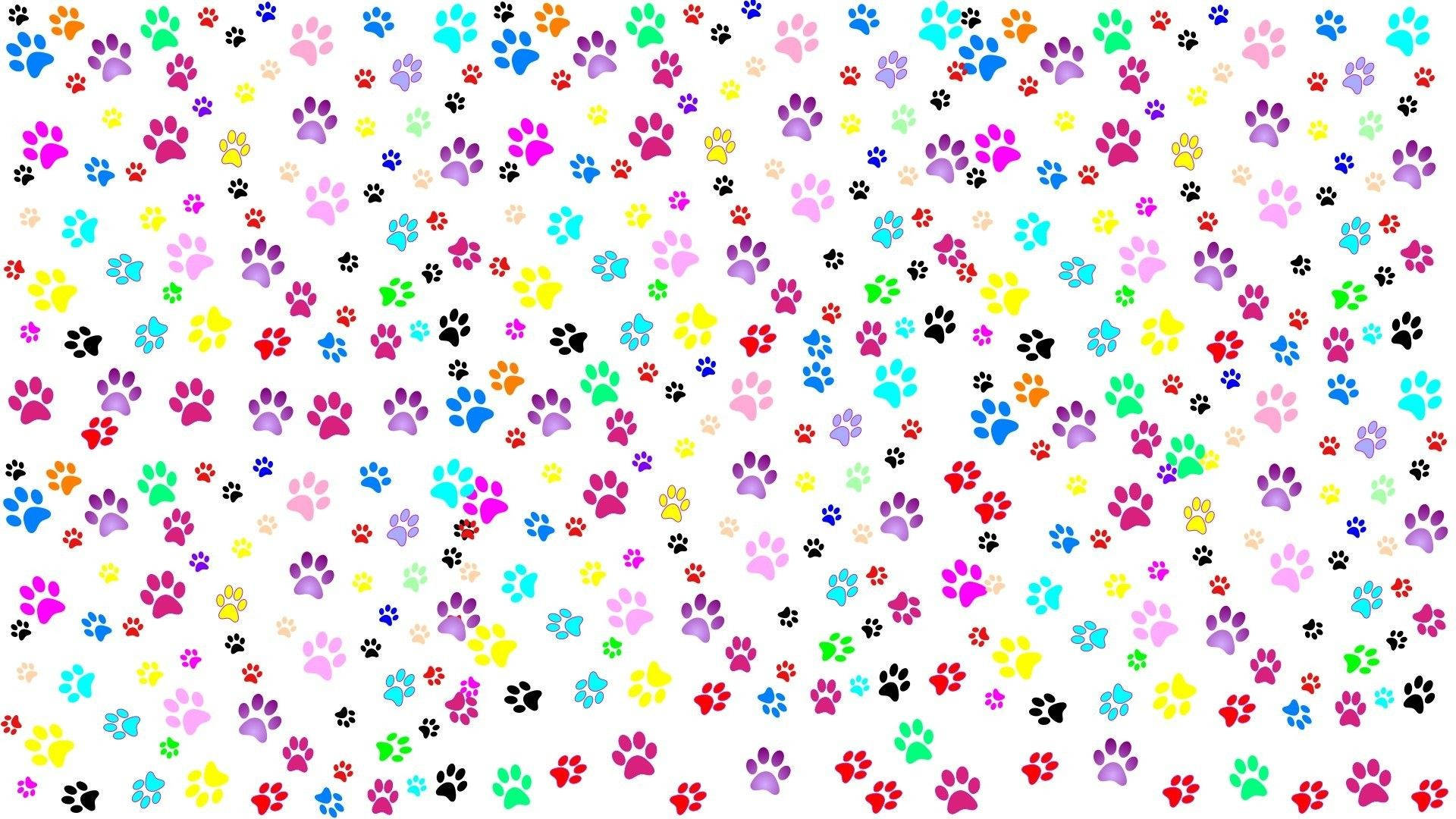 Colorful Paw Print Patterns Wallpaper