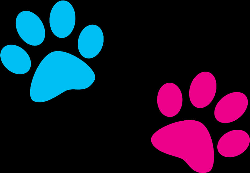 Colorful Paw Prints Illustration PNG