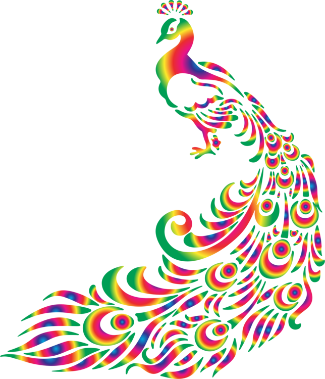Colorful Peacock Art Illustration PNG