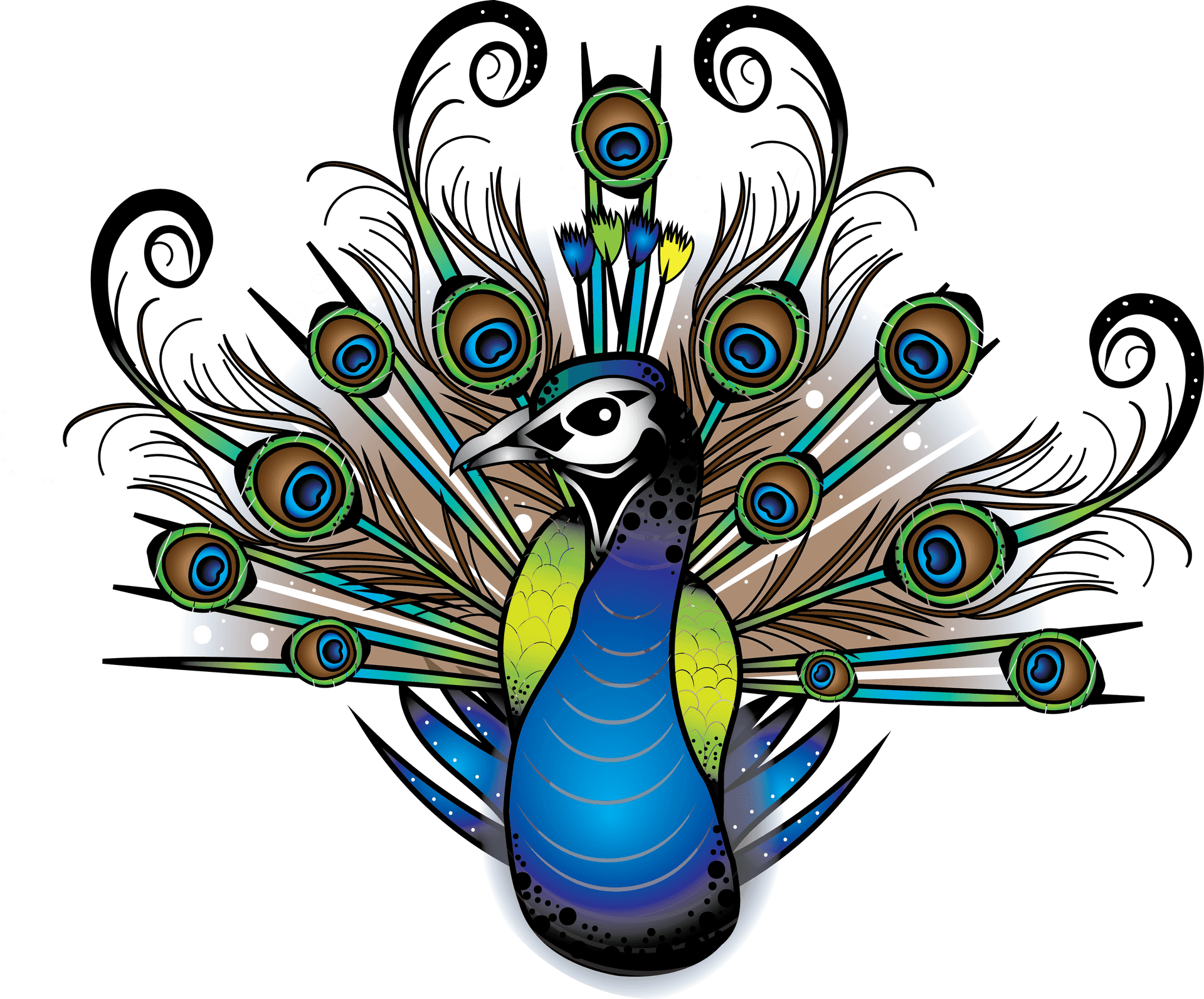 Colorful Peacock Artwork PNG