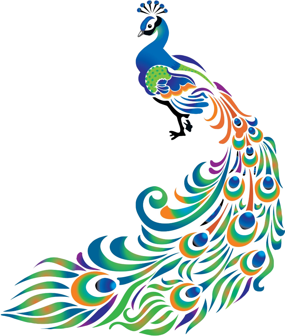 Colorful Peacock Artwork PNG