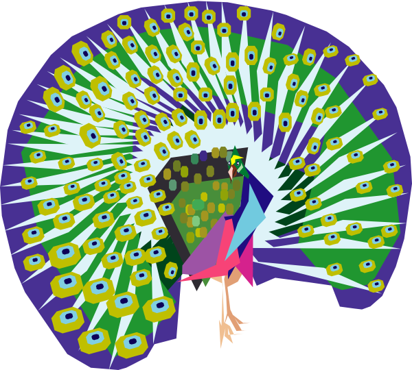 Colorful Peacock Display Illustration PNG