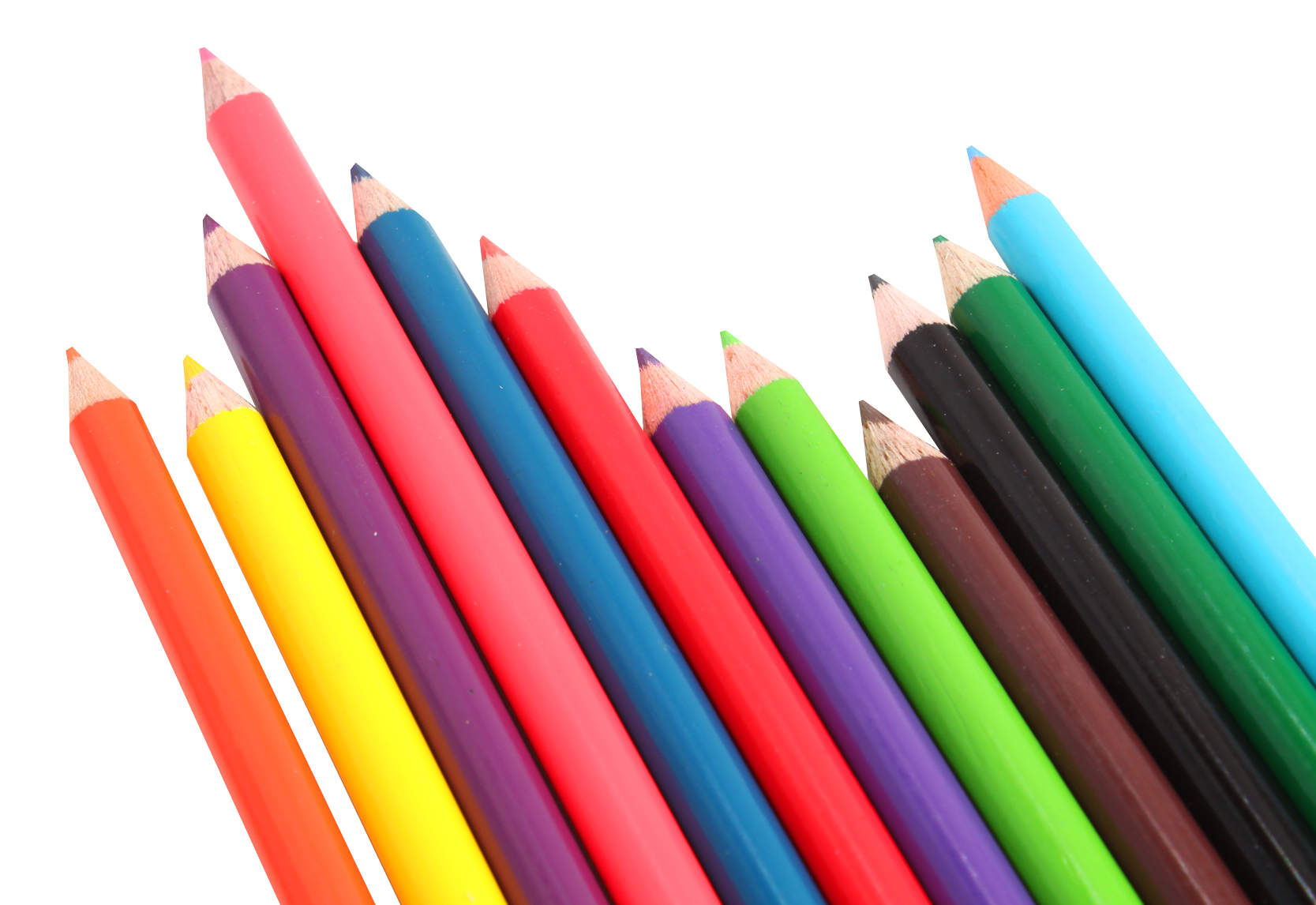Colorful Pencils Arrangement PNG