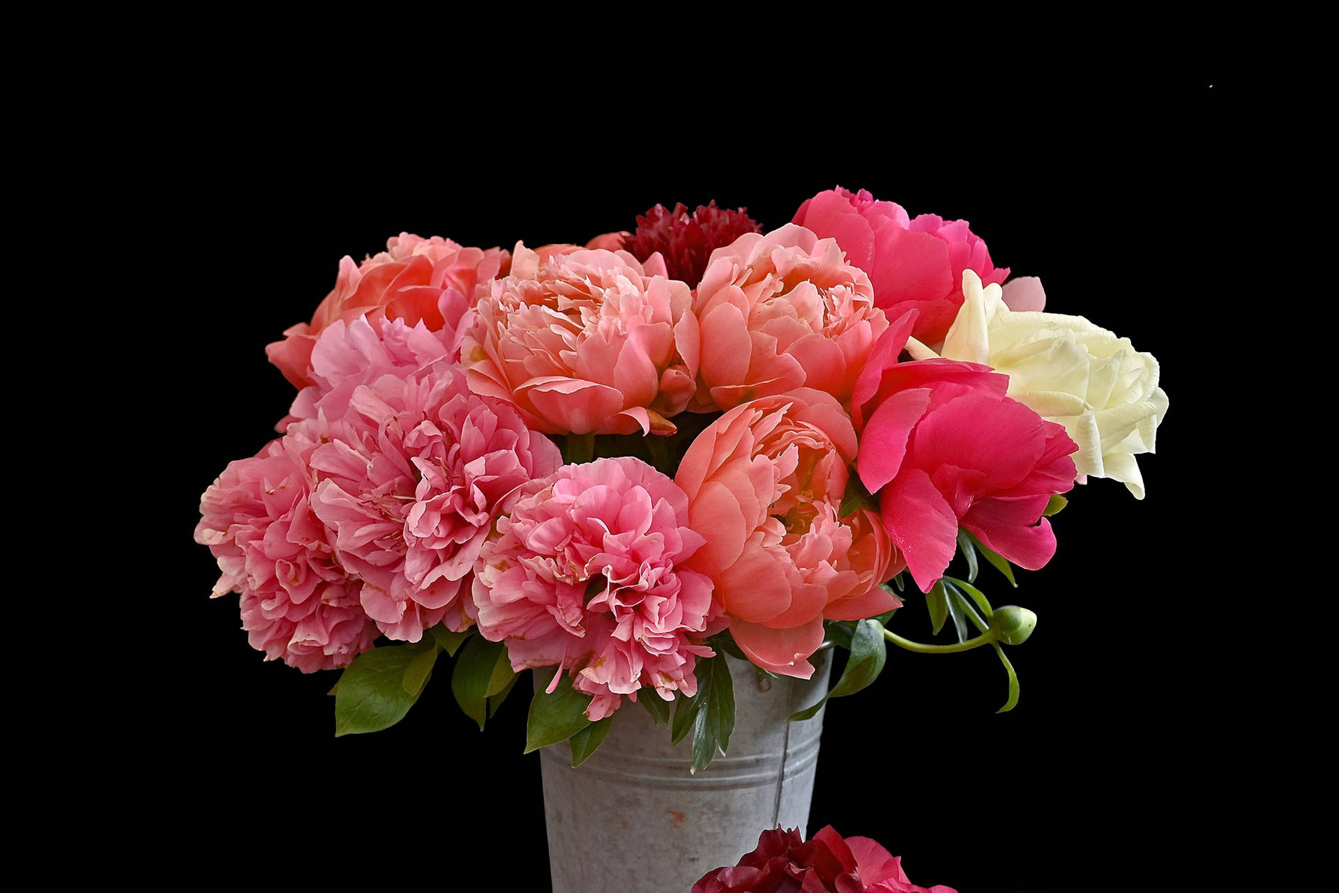 Colorful Peony Flowers In A Bucket Wallpaper