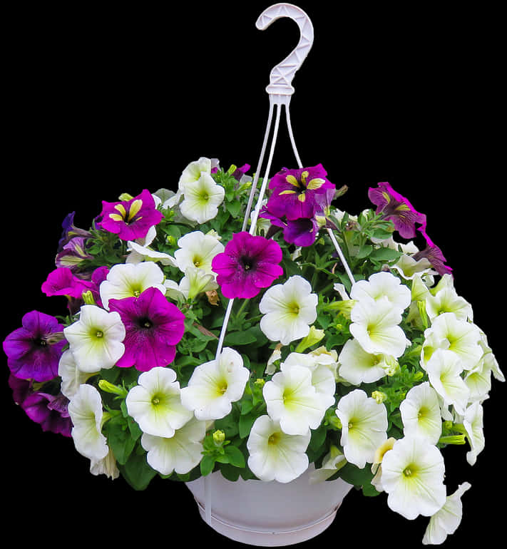 Colorful Petunia Hanging Basket Floral Display.jpg PNG