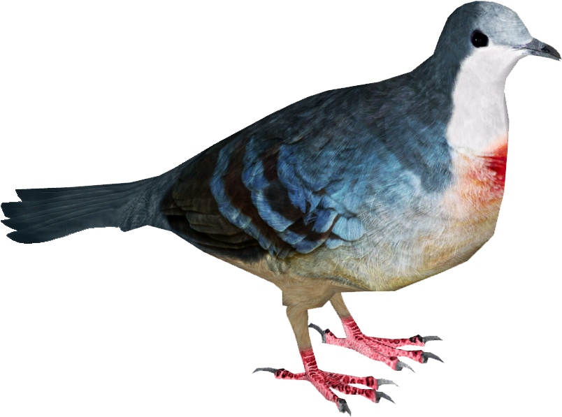 Colorful Pigeon Profile PNG