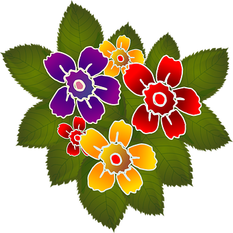 Colorful Primrose Illustration PNG