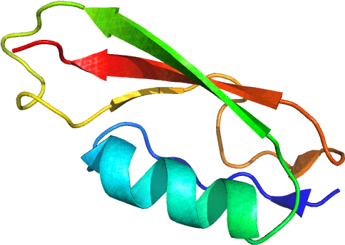 Colorful Protein Structure3 D Model PNG