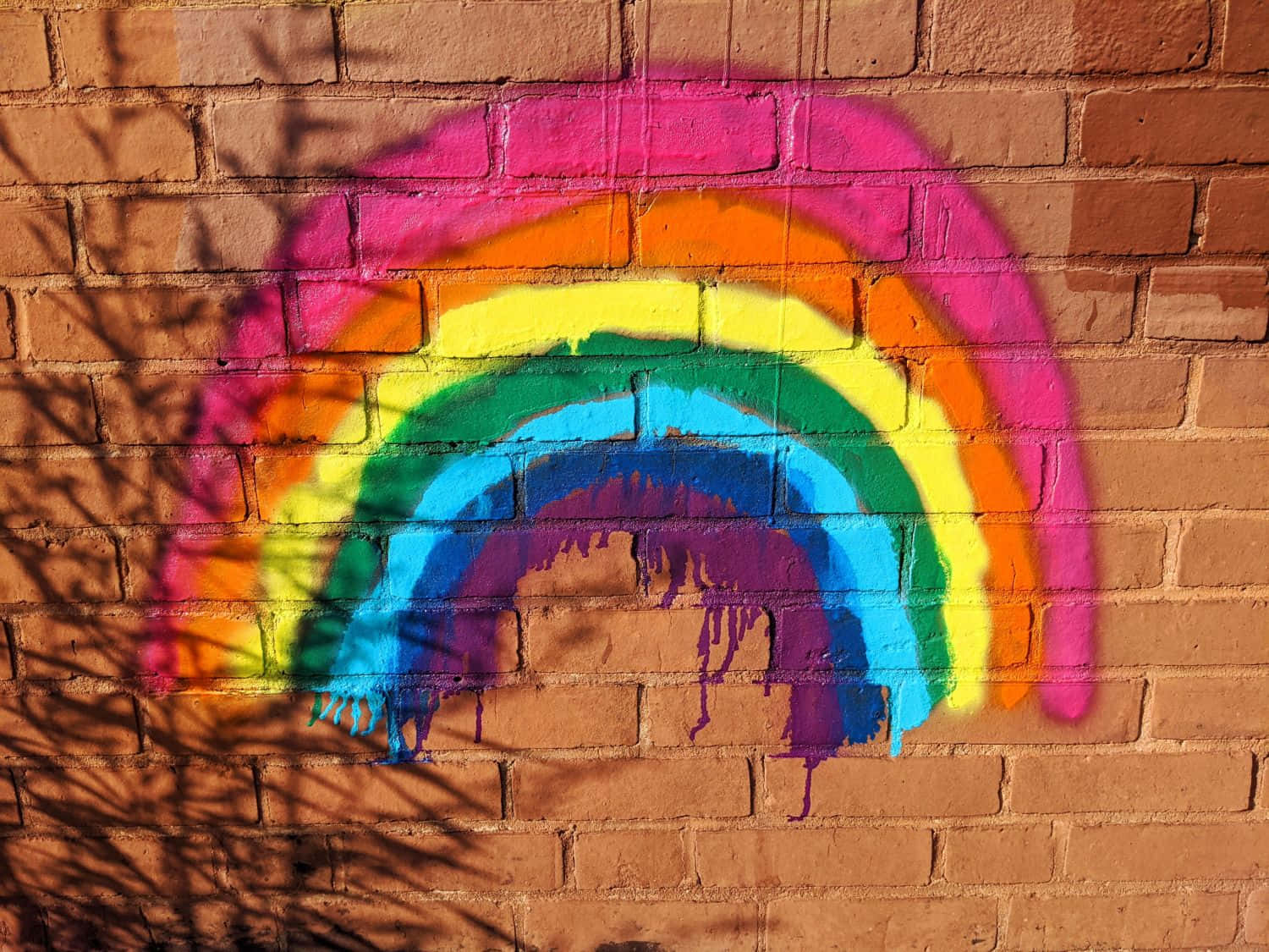 Colorful Rainbow Graffition Brick Wall.jpg Wallpaper