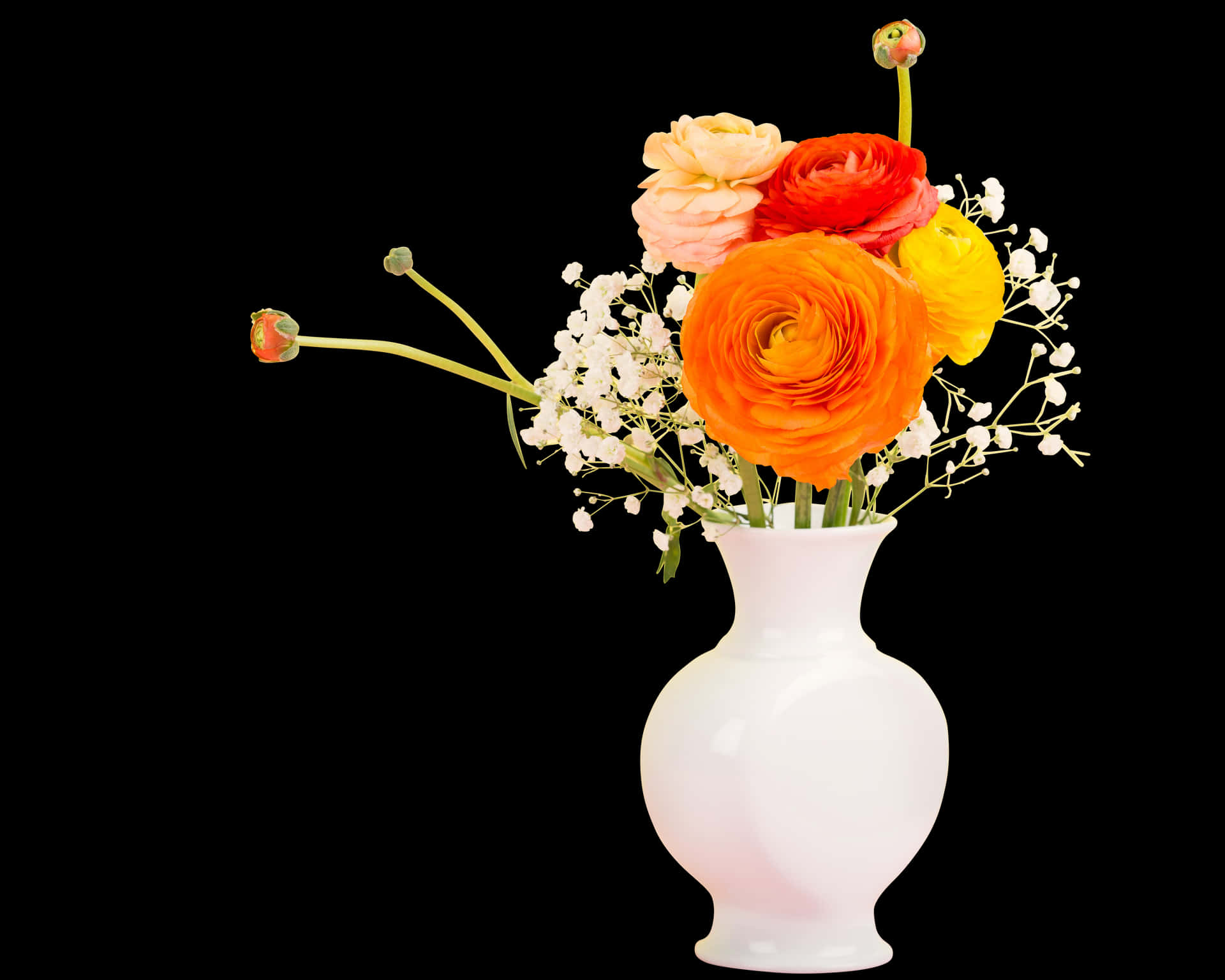 Colorful_ Ranunculus_ Bouquet_in_ White_ Vase PNG