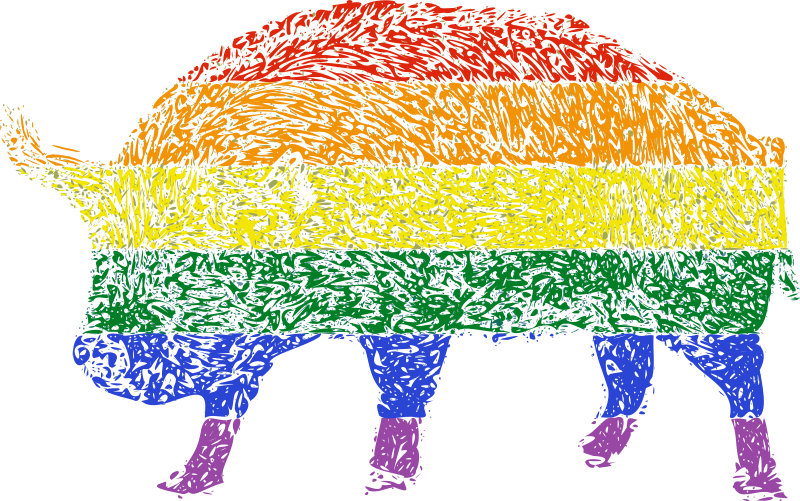 Colorful Rhino Silhouette Rainbow Background PNG