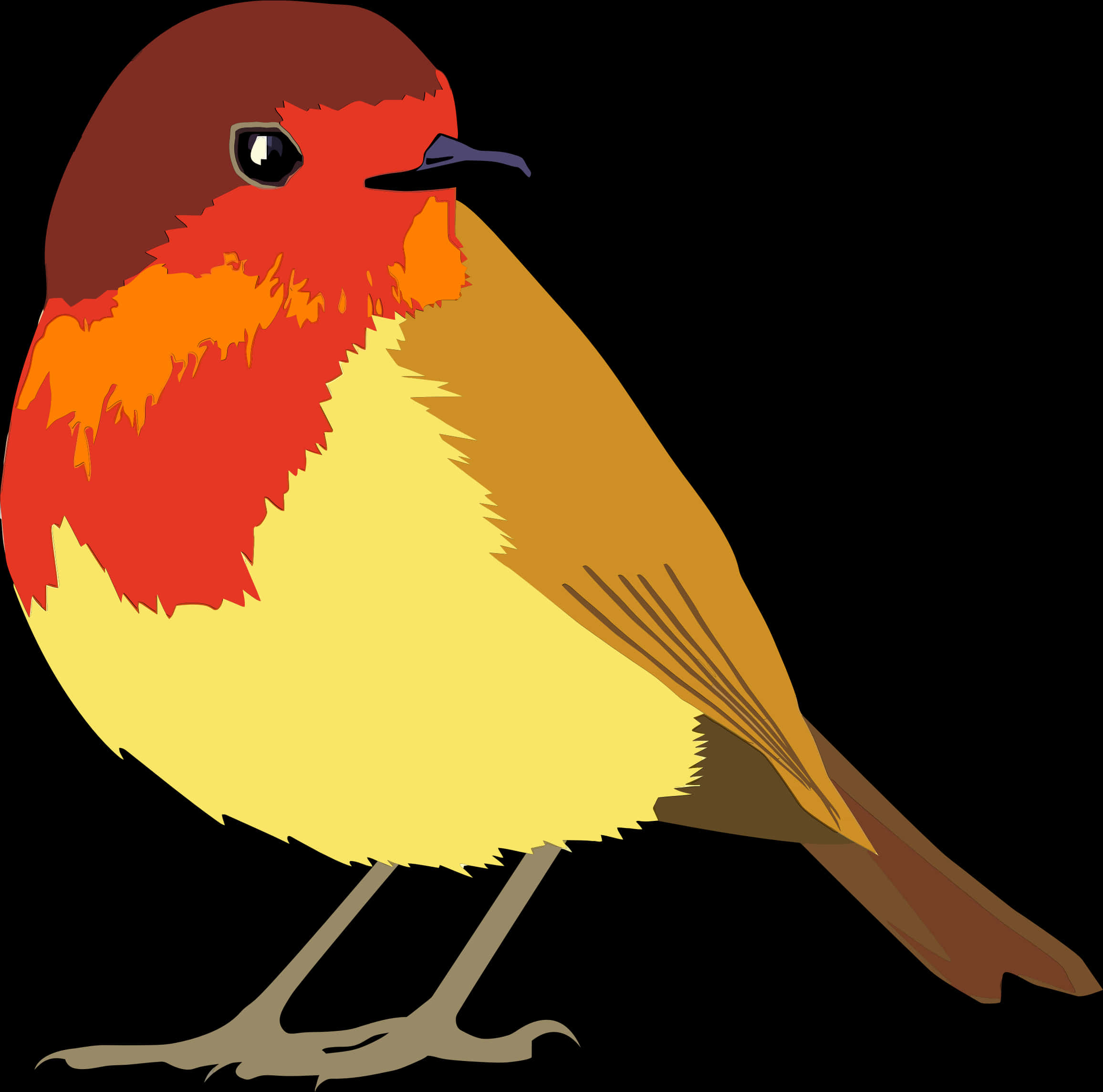 Colorful Robin Illustration PNG
