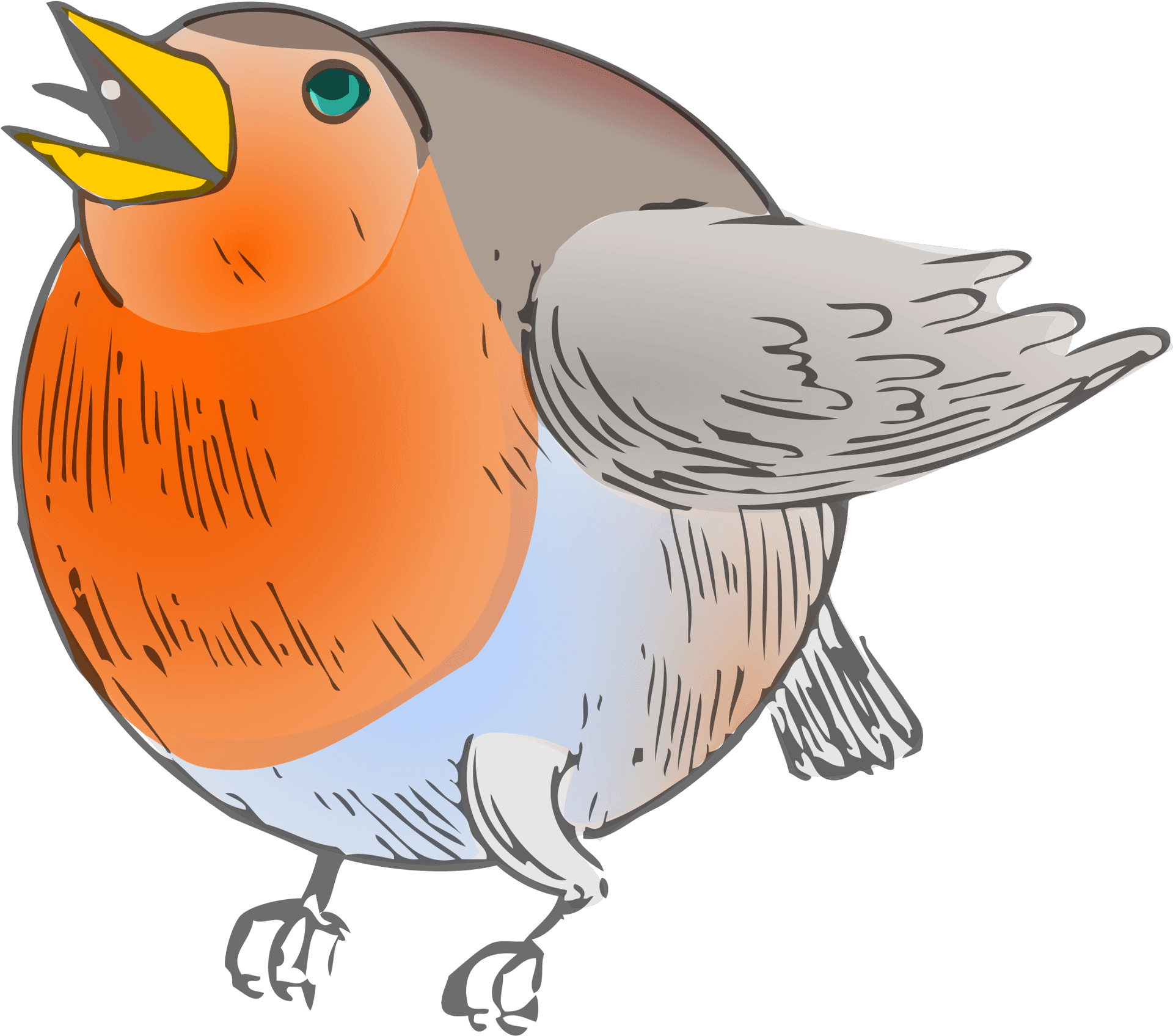 Colorful Robin Illustration.png PNG