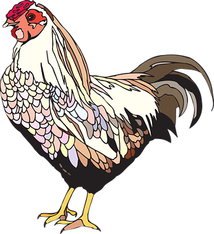 Colorful Rooster Illustration PNG