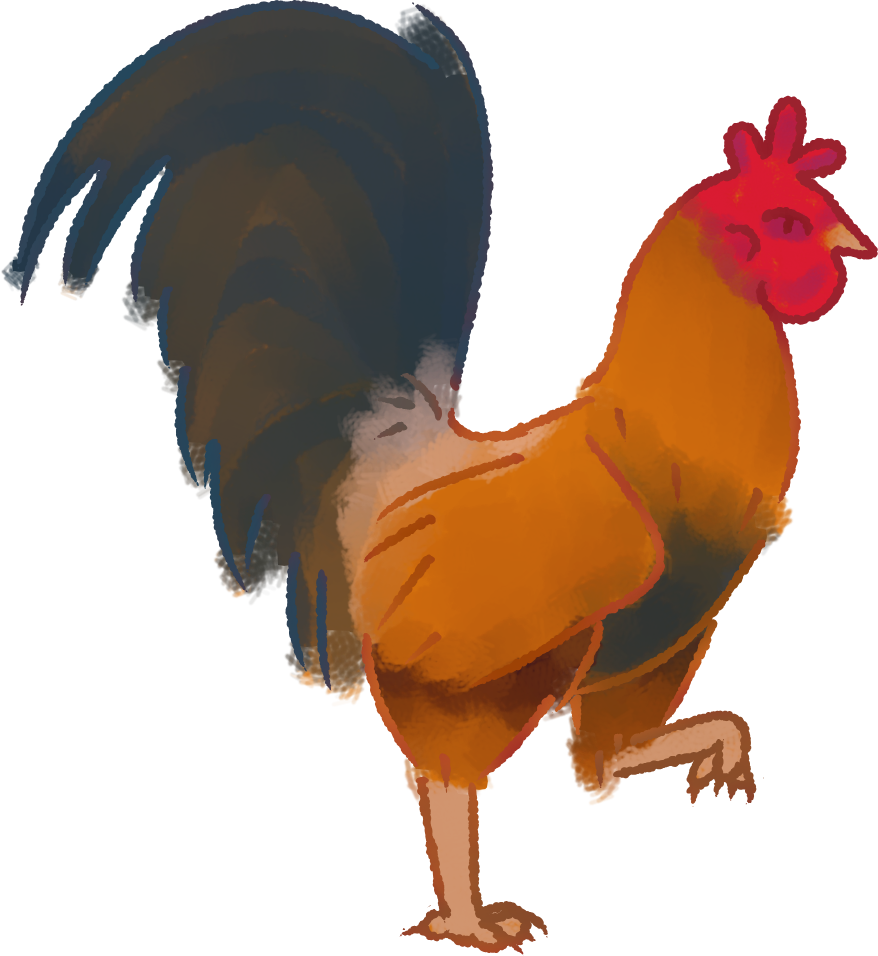 Colorful Rooster Illustration PNG