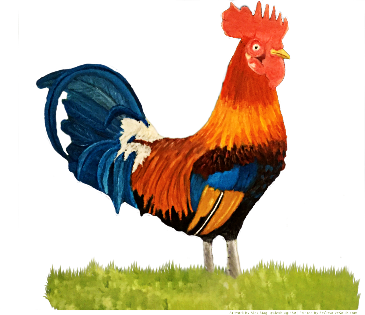 Colorful Rooster Standing PNG