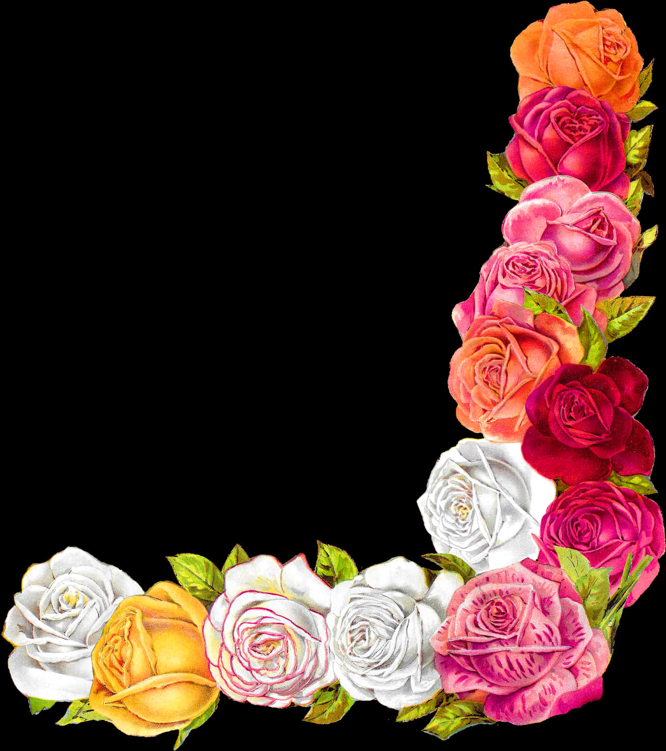 Colorful Rose Border Design PNG