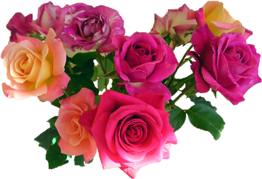 Colorful Rose Bouquet Transparent Background PNG