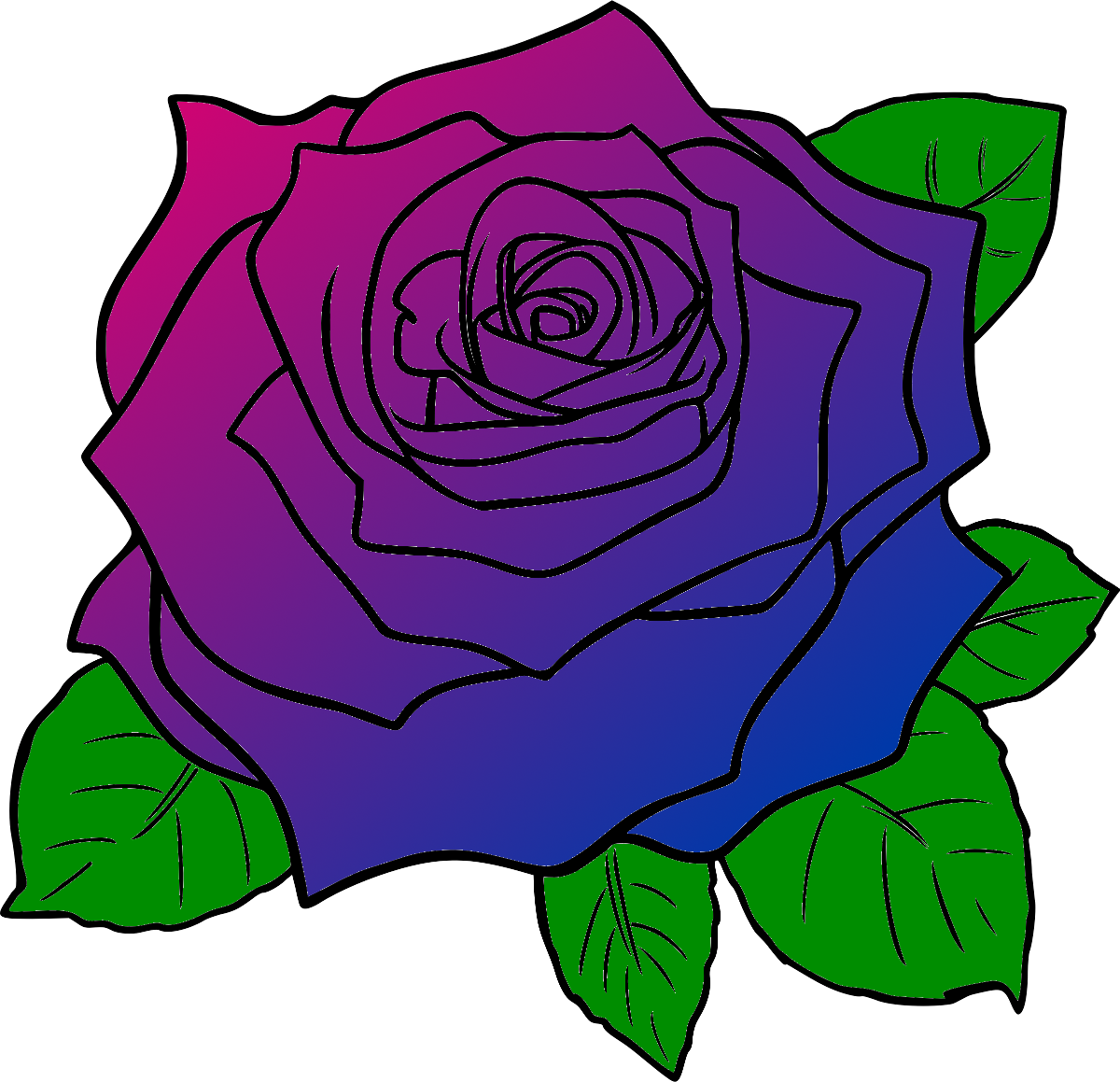 Colorful Rose Drawing.png PNG