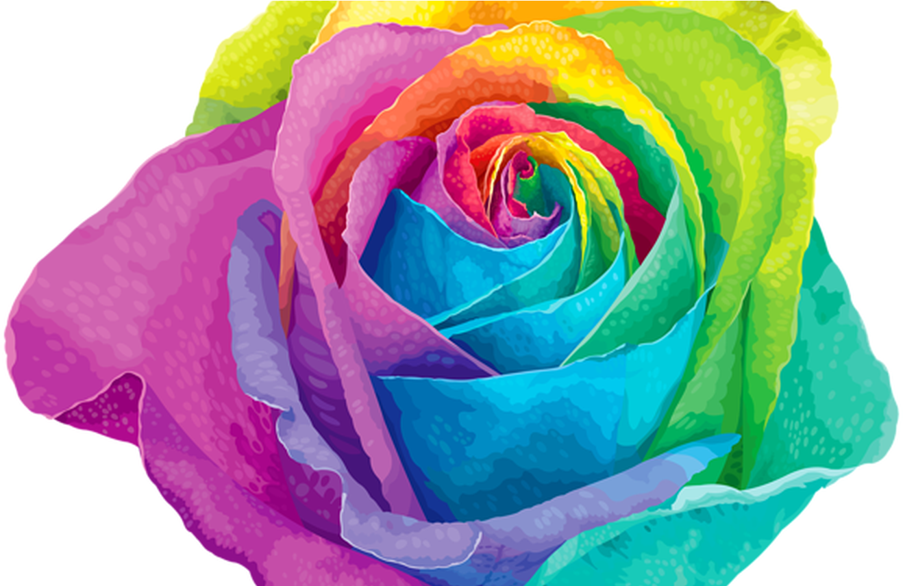 Colorful Rose Vector Art PNG