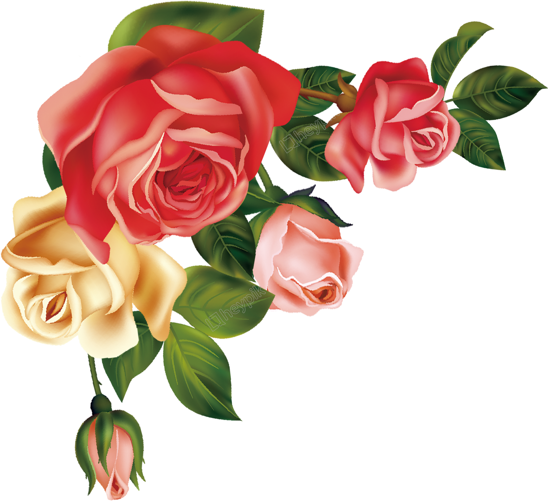 Colorful Rose Vector Illustration PNG