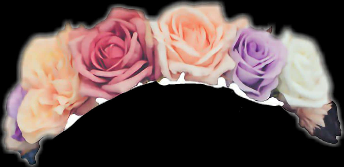 Colorful Roses Gradient Background PNG