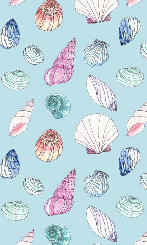 Colorful Seashell Pattern Illustration Wallpaper