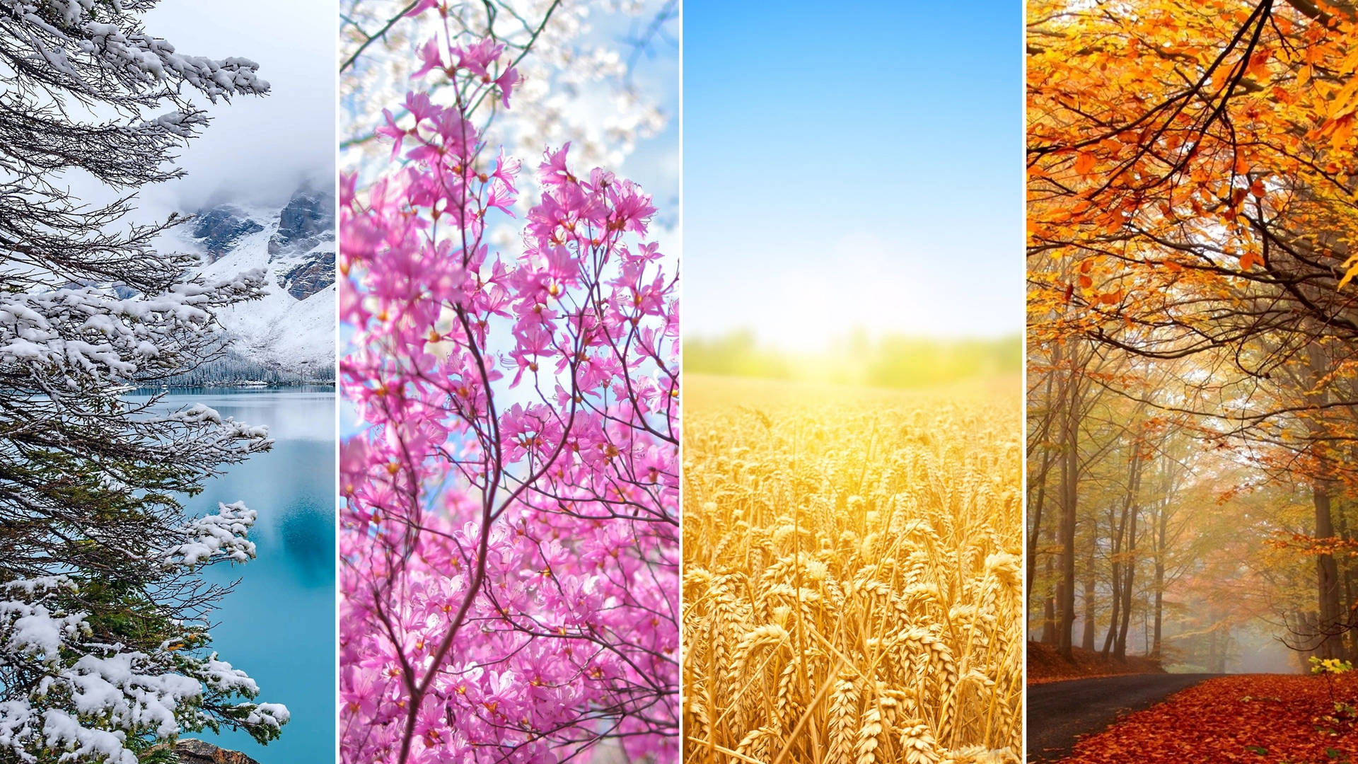Colorful Seasons Wallpaper