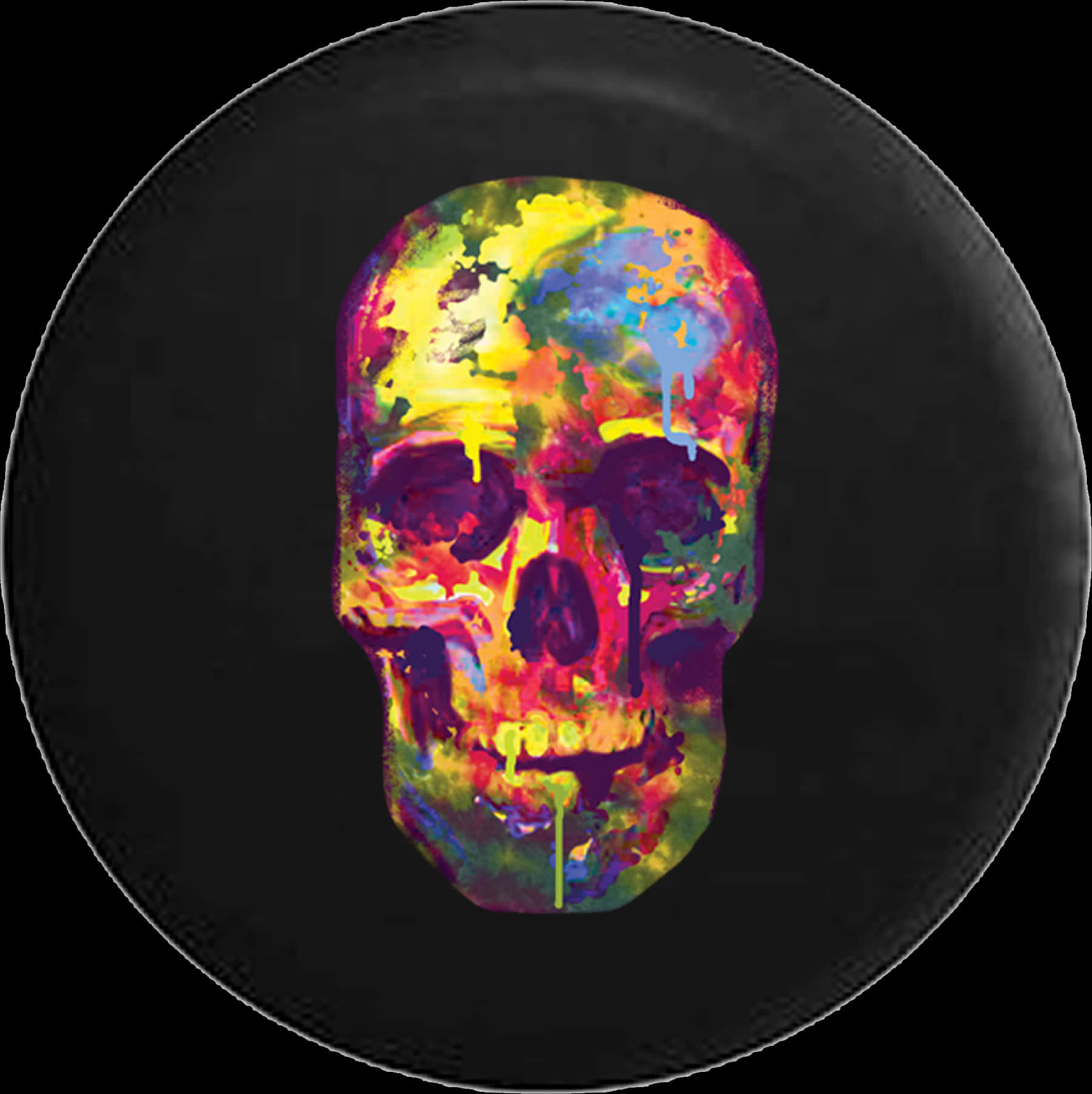 Colorful Skull Art Vinyl Record PNG