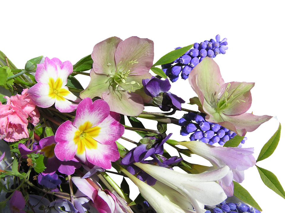 Colorful Spring Flowers Arrangement PNG