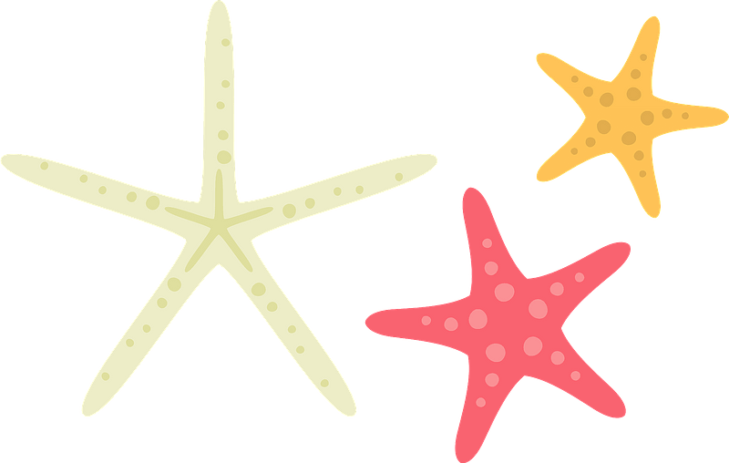 Colorful Starfish Clipart PNG