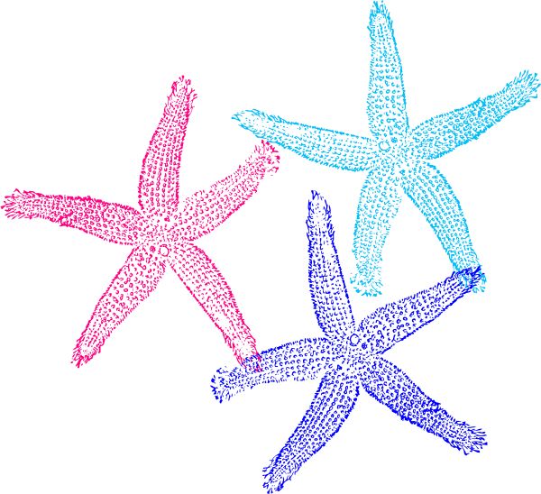 Colorful Starfish Trio Clipart PNG