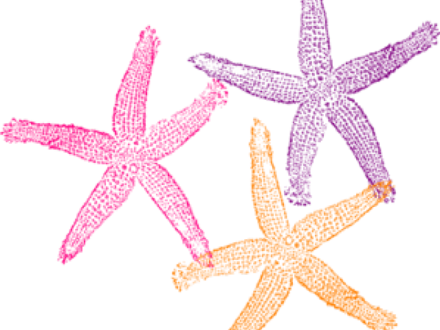 Colorful Starfish Trio Clipart PNG