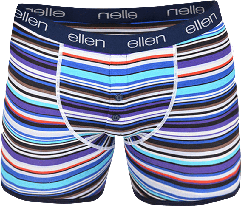 Colorful Striped Boxer Briefs PNG