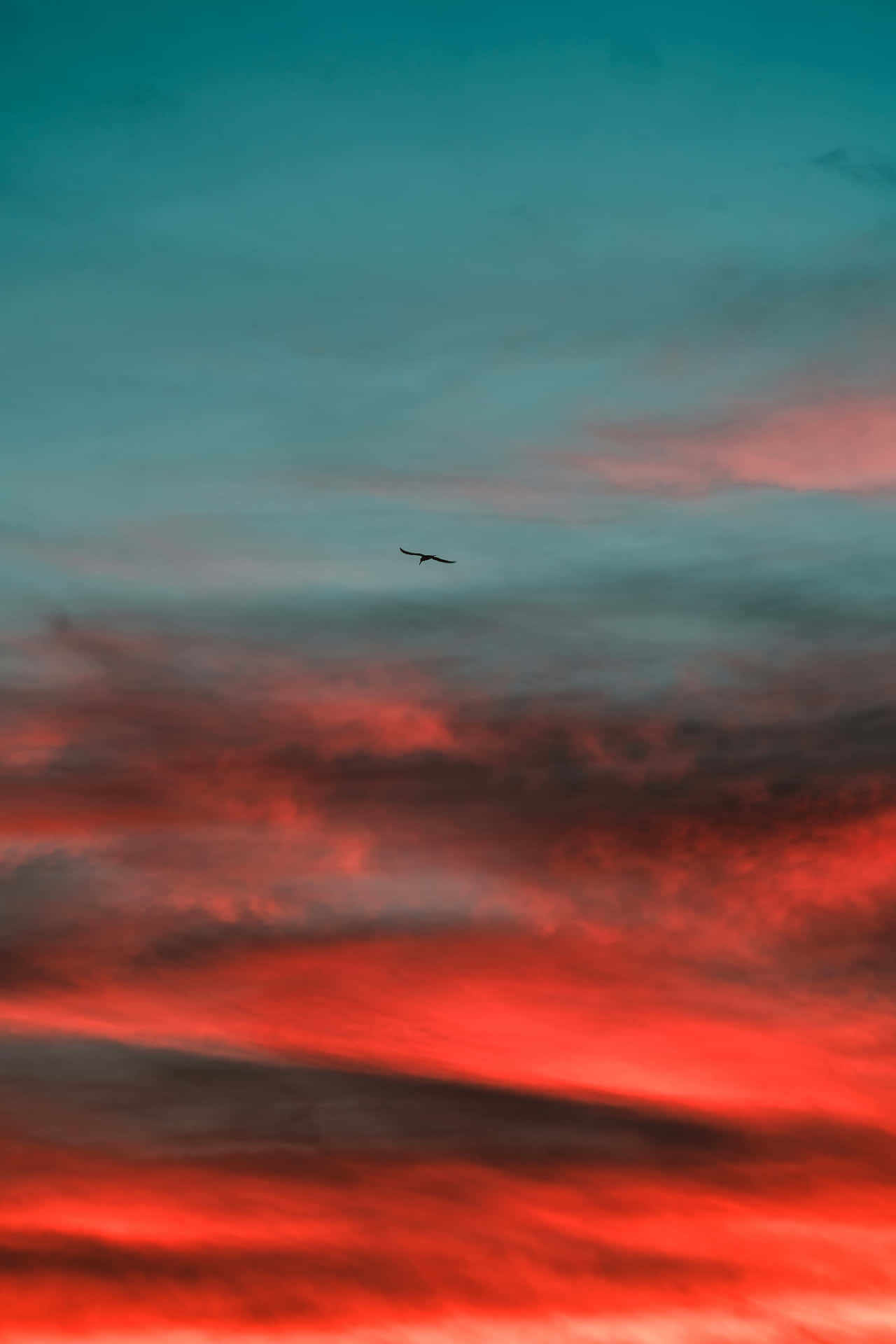 Stunning Colorful Sunset Amidst the Clouds Wallpaper