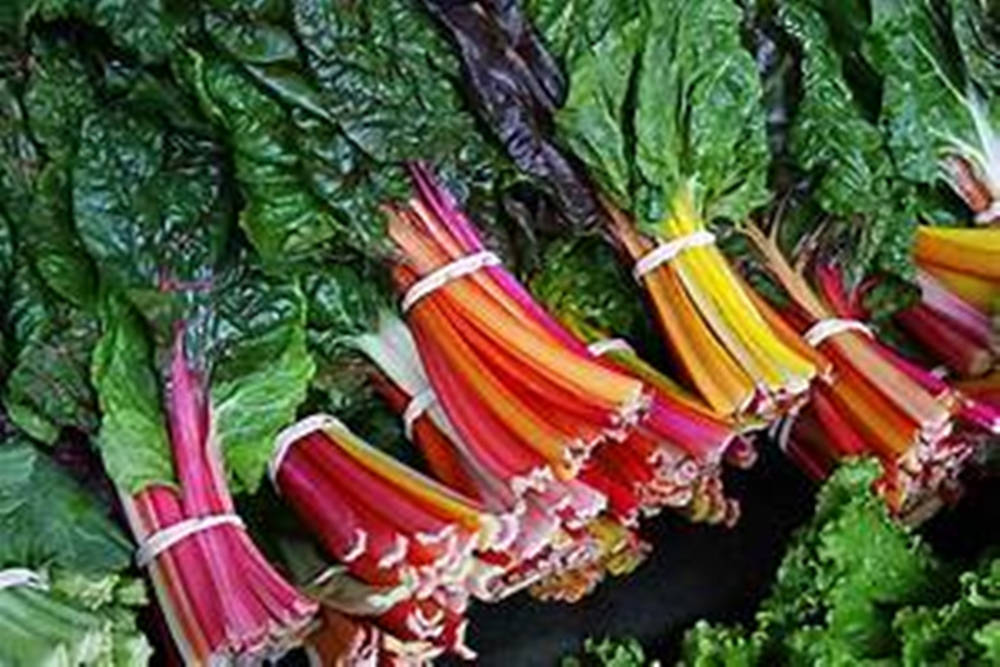 Colorful Swiss Chard Vegetable Bunches Wallpaper
