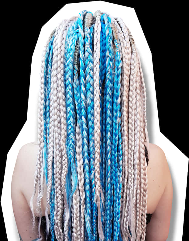Colorful Synthetic Dreads_ Back View PNG