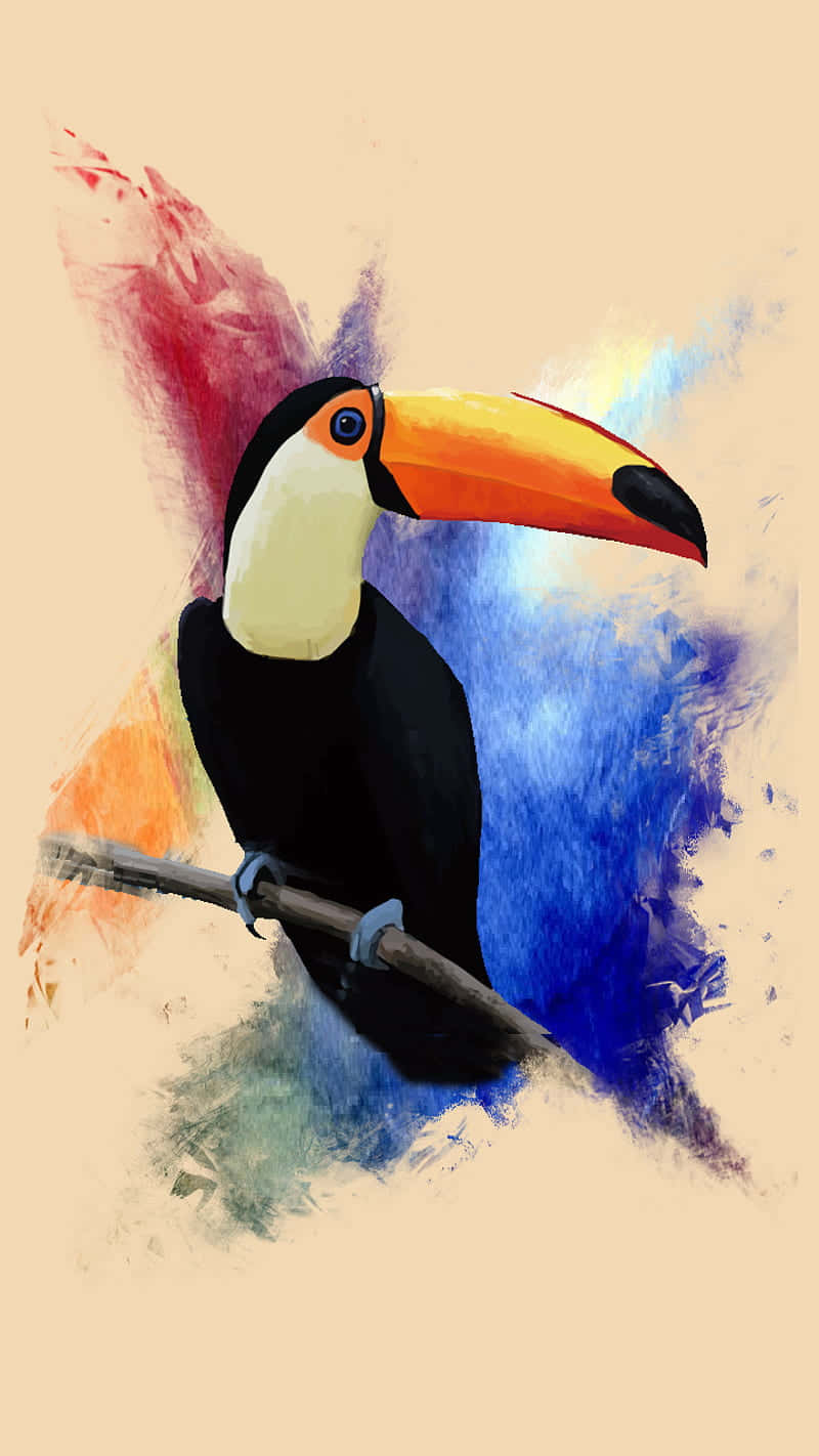 Colorful_ Toucan_ Artwork Wallpaper