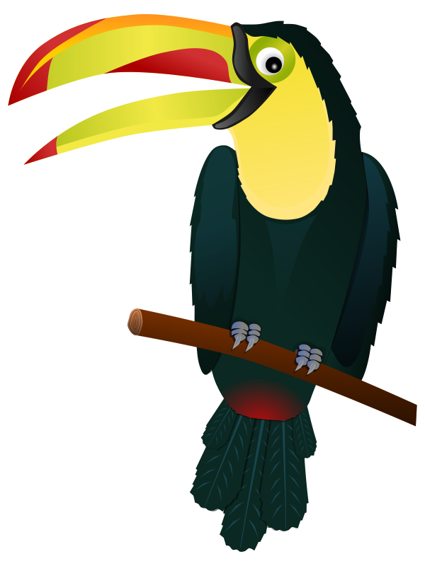 Colorful Toucan Illustration PNG