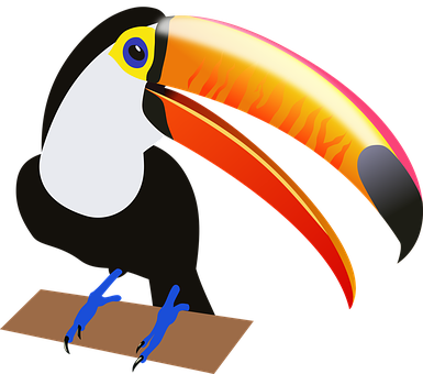 Colorful Toucan Vector Illustration PNG