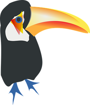 Colorful Toucan Vector Illustration PNG