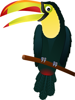 Colorful Toucan Vector Illustration PNG