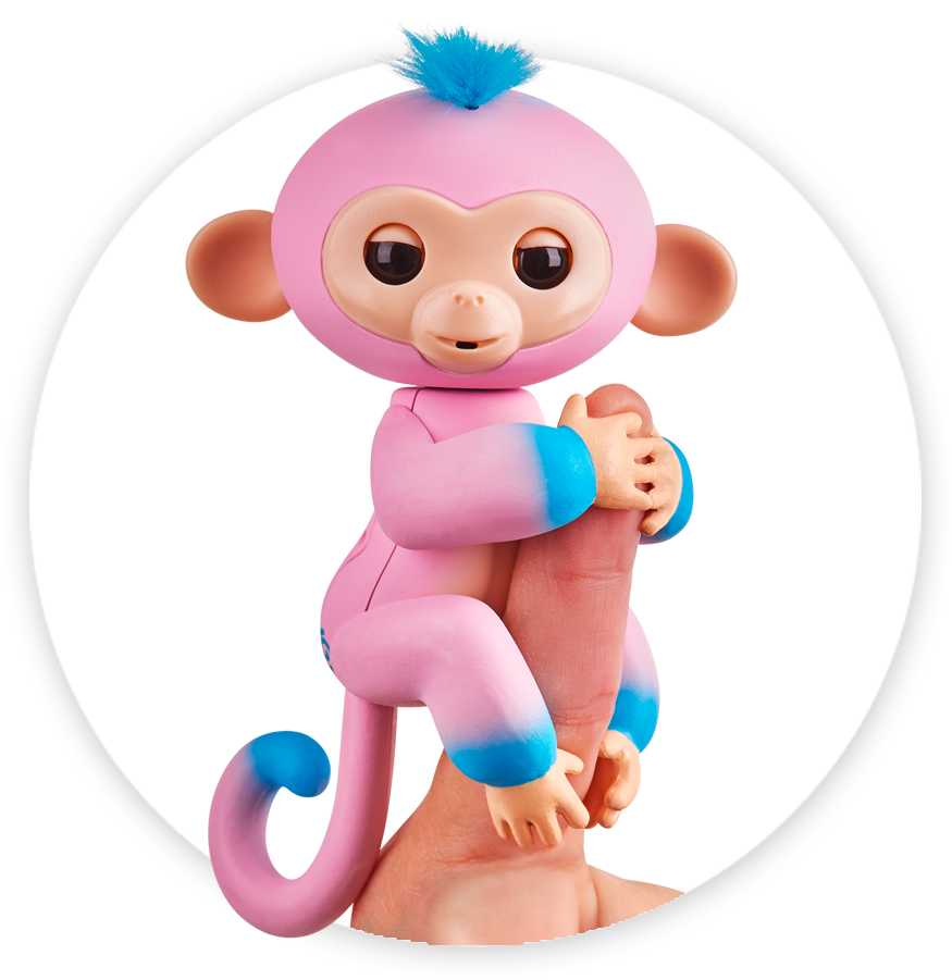 Colorful Toy Monkey Clinging PNG