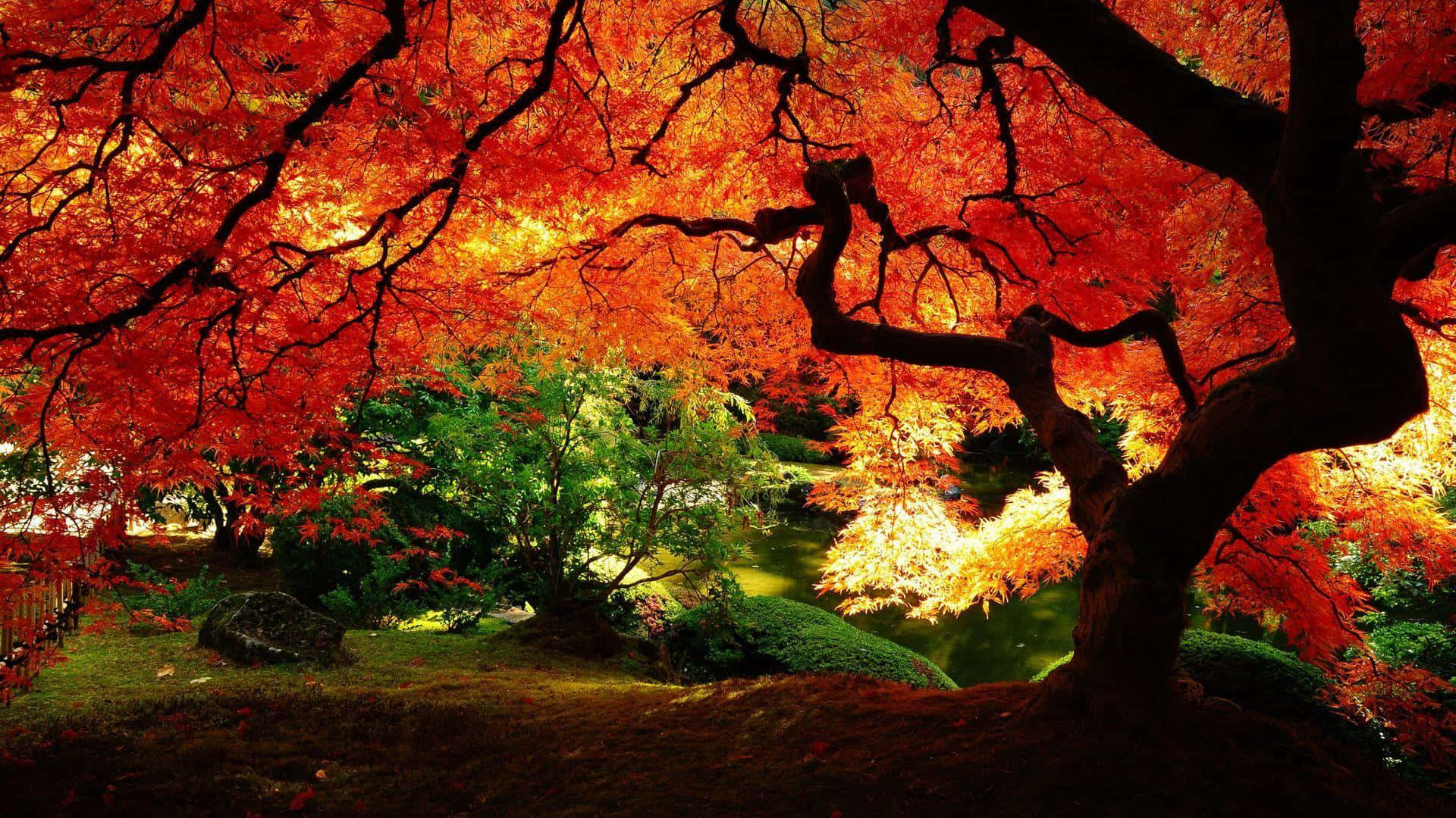 Captivating Forest of Colorful Trees Wallpaper