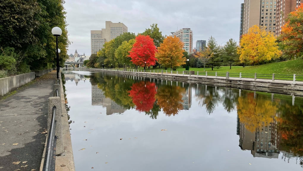 Colorful Trees Along Rideau Canal In Ottawa Wallpaper