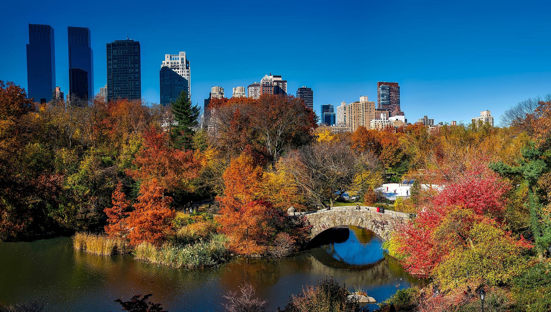 Colorful Trees In Central Park Wallpaper