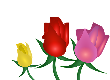 Colorful Trioof Roses Illustration PNG