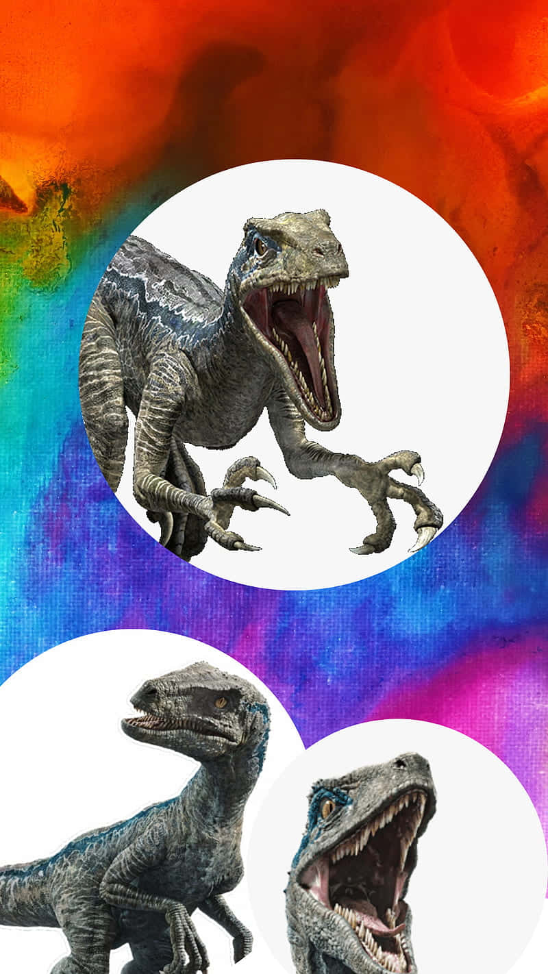 Colorful Triple Velociraptor Display Wallpaper