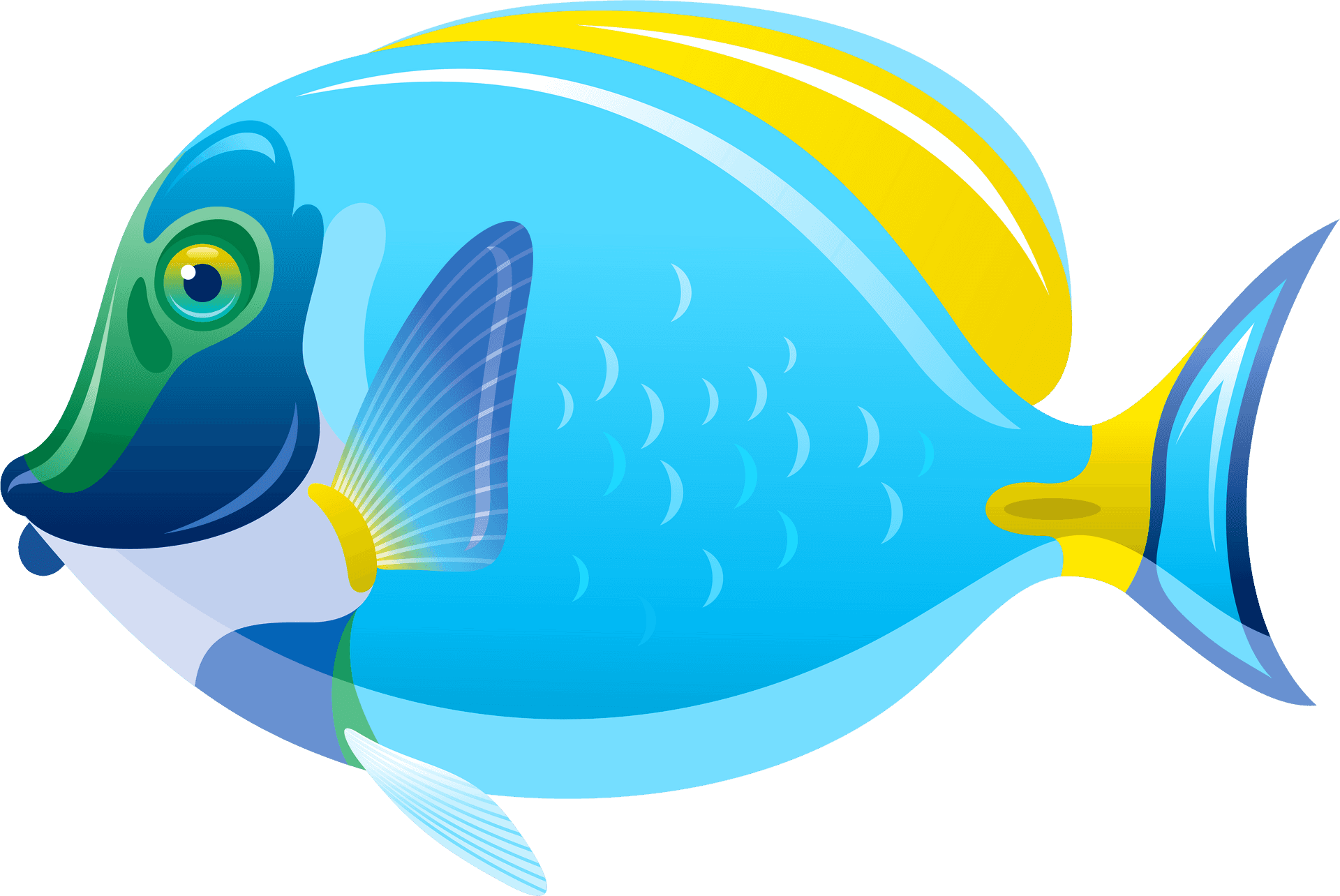 Colorful Tropical Fish Illustration PNG