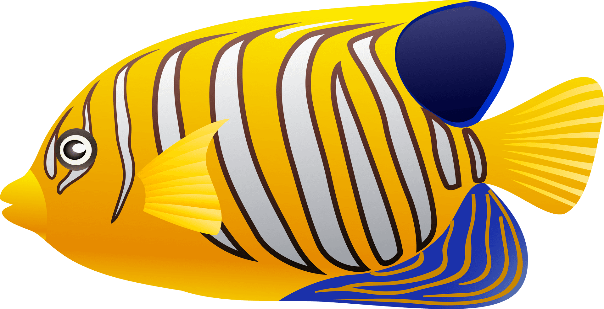 Colorful Tropical Fish Illustration PNG